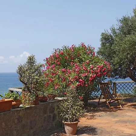 Eremo Di Montevergine Ischia Apartment Forio (Isola d'Ischia)