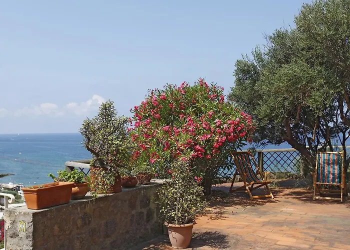 Eremo Di Montevergine Ischia Daire Forio di Ischia