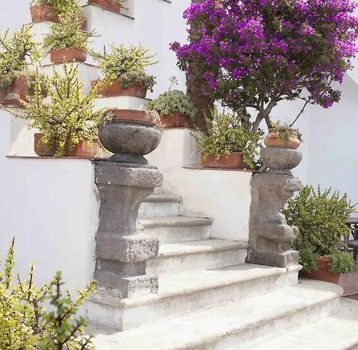 Daire Eremo Di Montevergine Ischia Forio di Ischia